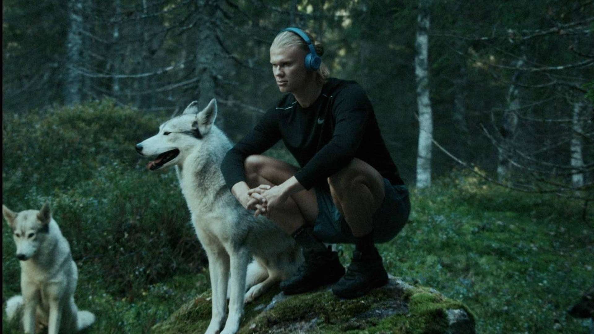 反而是其地 反而是其地